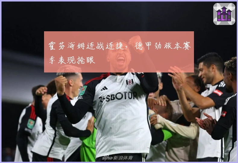 霍芬海姆连战连捷，德甲劲旅本赛季表现抢眼