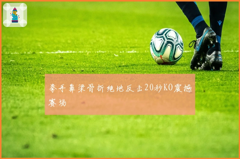 拳手鼻梁骨折绝地反击20秒KO震撼赛场