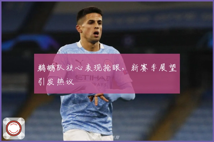 鹈鹕队核心表现抢眼，新赛季展望引发热议